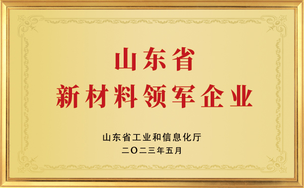 山东省新材料领军企业