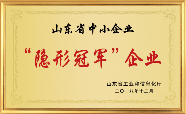 山东省中小企业“隐形冠军”企业