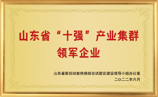 山东省十强产业集群领军企业